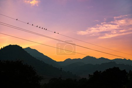 Foto de Bandada de aves sentadas en una línea eléctrica con puesta de sol y montaña en el fondo. - Imagen libre de derechos