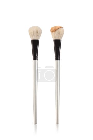 Téléchargez les photos : Set of Makeup Brushes With Soft Reflections - en image libre de droit