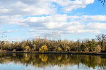 Téléchargez les photos : Paysage avec de grands arbres anciens près du lac Herastrau dans le parc King Michael I (Herastrau) à Bucarest, en Roumanie, par une journée d'hiver ensoleillée - en image libre de droit