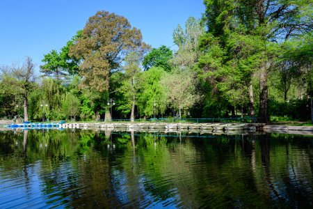 Lebendig grüne Landschaft mit alten großen Linden und kleinen Booten in der Nähe des Sees in Cismigiu Garden (Gradina Cismigiu), einem öffentlichen Park im Stadtzentrum von Bukarest, Rumänien, an einem sonnigen Frühlingstag