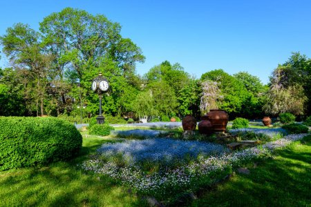 Landschaft mit grünen Bäumen, Blättern, Jahrgangsuhr und vielen kleinen blauen Vergissmeinnicht oder Skorpiongräser blühen an einem sonnigen Tag am Eingang zum Cismigiu-Garten (Gradina Cismigiu) in Bukarest, Rumänien