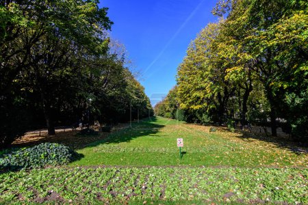 Landschaft mit der Hauptallee mit lebhaften grünen und gelben Pflanzen, grünen Linden und Gras an einem sonnigen Herbsttag im Cismigiu-Garten in Bukarest, Rumänien