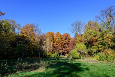 Landschaft mit vielen großen grünen, gelben und orangefarbenen Bäumen zum strahlend blauen Himmel im Herastrau Park in Bukarest, Rumänien, an einem sonnigen Herbsttag