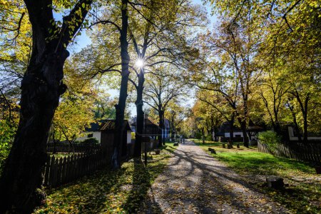 Longue ruelle avec des maisons roumaines traditionnelles entourées de nombreux vieux arbres aux feuilles vertes, jaunes, orange et brunes dans le musée du village dans le parc Herastrau à Bucarest, en Roumanie par une journée d'automne ensoleillée