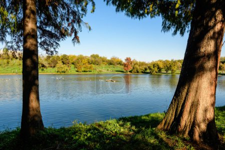 Landschaft mit vielen großen grünen und gelben alten Bäumen am See an einem sonnigen Herbsttag im Tineretului Park in Bukarest, Rumänien