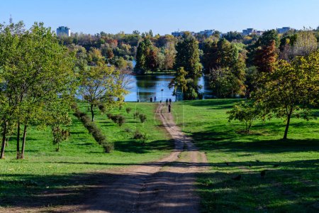 Landschaft mit Fußweg, umgeben von leuchtend grünen und gelben Bäumen, pflanzt Bäume und Gras in Richtung See im Parcul Tineretului (Tineretului Park) in Bukarest, Rumänien, an einem sonnigen Herbsttag