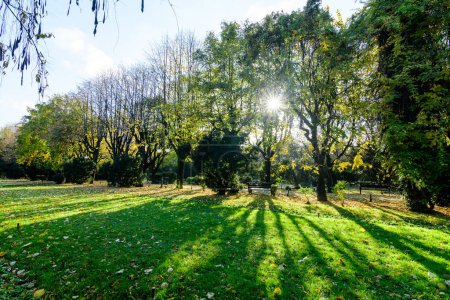Landschaft mit der Hauptallee mit lebhaften grünen und gelben Pflanzen, grünen Linden und Gras an einem sonnigen Herbsttag im Cismigiu-Garten in Bukarest, Rumänien