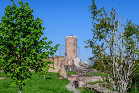 The Chindia Tower or Turnul Chindiei, old buildings and ruins at Targoviste Royal Court (Curtea Domneasca) in Chindia Park (Parcul Chindia) in the historical part of the city  in a sunny spring  day, in Romania