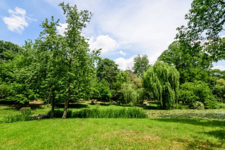 Lebendige Landschaft im Nicolae Romaescu Park von Craiova im Kreis Dolj, Rumänien, mit See, Seerosen und großen grünen Bäumen in einem schönen sonnigen Frühlingstag mit blauem Himmel und weißen Wolken
