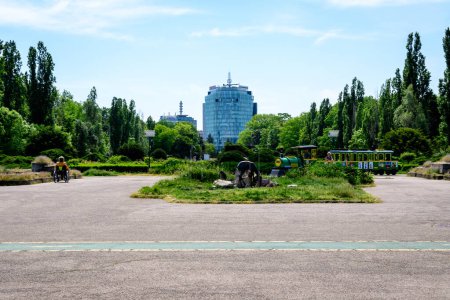 Téléchargez les photos : Bucarest, Roumanie - 15 avril 2021 : Paysage avec de l'herbe, des roses et de grands vieux arbres verts vers un ciel bleu clair dans le parc King Michael I (Herastrau), par une journée ensoleillée de printemps - en image libre de droit