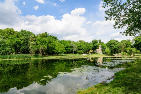 Paysage vif dans le parc Nicolae Romaescu de Craiova dans le comté de Dolj, Roumanie, avec lac, nénuphars et grands mètres verts dans une belle journée de printemps ensoleillée avec ciel bleu et nuages blancs