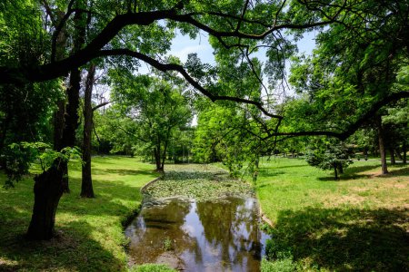 Lebendige Landschaft im Nicolae Romaescu Park von Craiova im Kreis Dolj, Rumänien, mit See, Seerosen und großen grünen Bäumen in einem schönen sonnigen Frühlingstag mit blauem Himmel und weißen Wolken