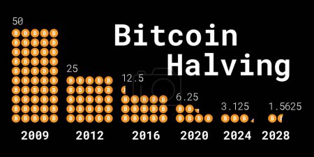 Die Bitcoin-Halbierung 2024 Infografik. Visualisierung, wie die Minenentlohnung in zwei Hälften aufgeteilt wird. Deflationäre Kryptowährung