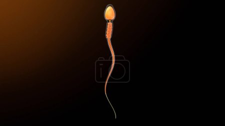 Photo for Human sperm isolated in background.3d illustration - Royalty Free Image