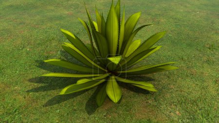 Foto de 3d renderizado ilustración de agave planta - Imagen libre de derechos