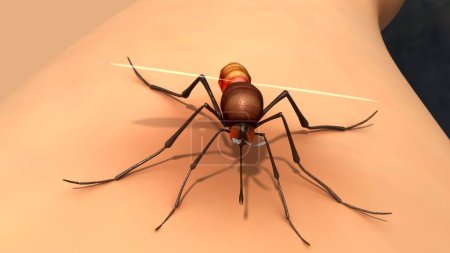 Téléchargez les photos : 3d Illustration de moustiques isolés en fond brun - en image libre de droit