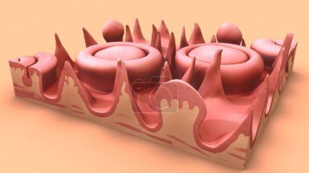 Photo for 3d rendered of Vallate Papillae in tongue anatomy 3d Illustration - Royalty Free Image