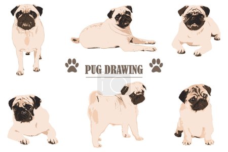 Ilustración de Lindo pugs colección carácter ilustración - Imagen libre de derechos
