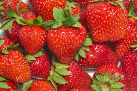 Ripe strawberries with green leaves in close-up