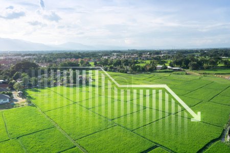 Photo for Land, landscape or green field in aerial view. Include bar chart or graph, drop down arrow. Real estate or property with concept for sale price, land value to decrease, reduction or negative trend. - Royalty Free Image