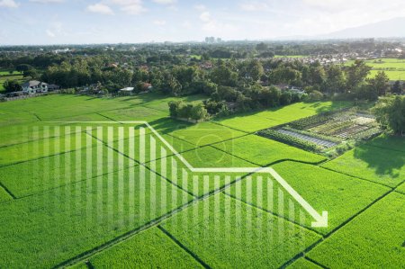 Photo for Land, landscape or green field in aerial view. Include bar chart or graph, drop down arrow. Real estate or property with concept for sale price, land value to decrease, reduction or negative trend. - Royalty Free Image