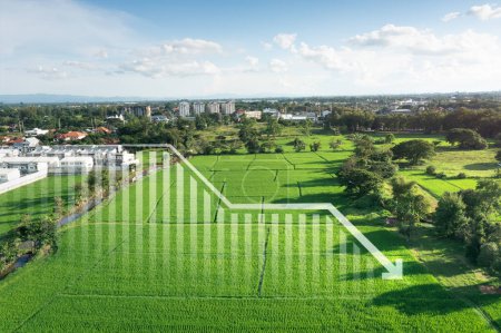 Photo for Land, landscape or green field in aerial view. Include house building, bar chart or graph, drop down arrow. Real estate or property with concept for sale price, land value to decrease, reduction, low. - Royalty Free Image