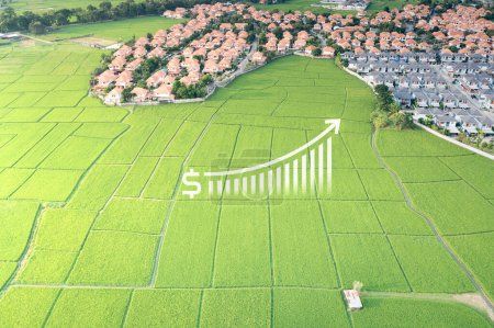 Photo for Land value in aerial view consist of landscape of green field or agriculture farm, house building, growth graph of rate market price for agent, realtor, investor to sale, buy, mortgage and investment. - Royalty Free Image