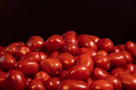 Téléchargez les photos : La tomate Roma ou Roma est une tomate de prune populairement utilisée à la fois pour la mise en conserve et la production de pâte de tomate en raison de sa nature mince et ferme. Focus sélectif pile de tomates. - en image libre de droit
