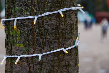 Garlands on a tree trunk, selective focus. Background of preparation for Christmas and New Year holidays.