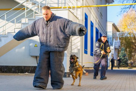 Foto de Entrenamiento de perros. Perro policía sabueso. Perro pastor al servicio del Estado. Balti Moldavia noviembre 25, 2021 - Imagen libre de derechos