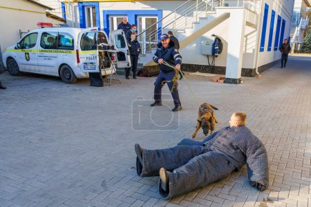 Foto de Entrenamiento de perros. Perro policía sabueso. Perro pastor al servicio del Estado. Balti Moldavia noviembre 25, 2021 - Imagen libre de derechos