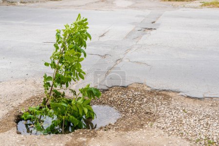 Photo for Pit with failed asphalt water breakthrough. Background with selective focus. - Royalty Free Image