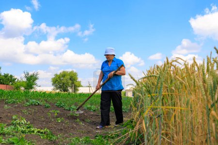Foto de 21 de junio de 2023 Rautel Moldova. Para uso editorial ilustrativo. Los agricultores quitan las malas hierbas del jardín - Imagen libre de derechos