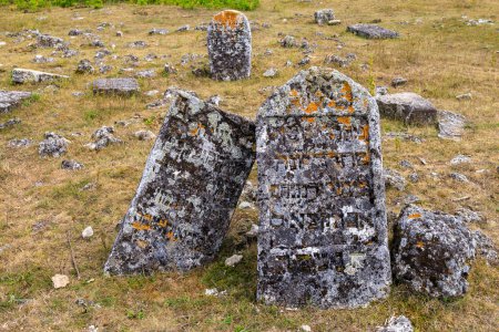 Photo for July 30, 2023 Vadul Rascov Moldova. Ruins of an abandoned Jewish old cemetery with tombstones. - Royalty Free Image