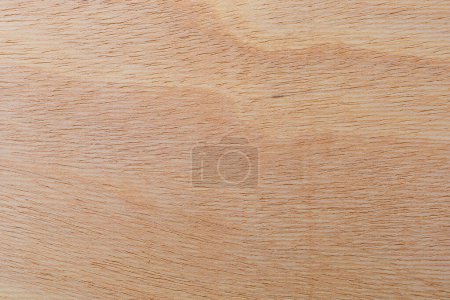 Superficie de corte de textura rugosa ligera de un árbol africano. Fondo de madera o blanco para el diseño. Un recurso gráfico o underlay para texto o etiquetas.