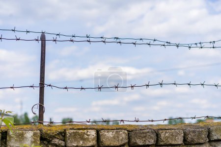 Barbed wire. Background with selective focus and copy space for text.