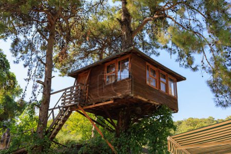 Wooden treehouse. Background with copy space for text