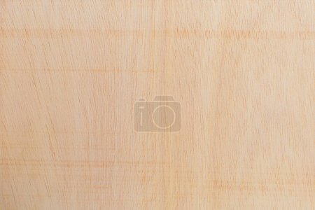 Surface de coupe légèrement rugueuse et texturée d'un arbre africain. Fond en bois ou blanc pour la conception. Une ressource graphique ou sous-couche pour le texte ou les étiquettes.