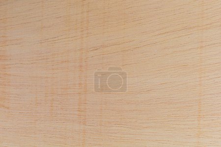 Surface de coupe légèrement rugueuse et texturée d'un arbre africain. Fond en bois ou blanc pour la conception. Une ressource graphique ou sous-couche pour le texte ou les étiquettes.