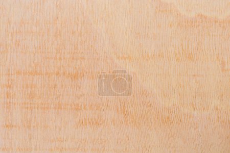 Leicht grob strukturierte Schnittfläche eines afrikanischen Baumes. Holz Hintergrund oder leer für die Gestaltung. Eine grafische Ressource oder Unterlage für Text oder Etiketten.