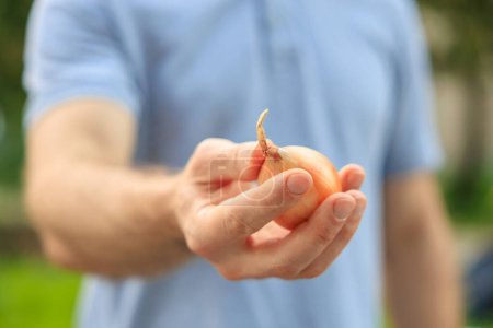 A man's hand holds an onion. Selective focus on hands with blurred background and copy space for text.