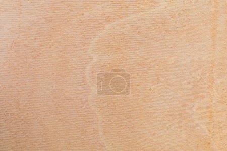 Leicht grob strukturierte Schnittfläche eines afrikanischen Baumes. Holz Hintergrund oder leer für die Gestaltung. Eine grafische Ressource oder Unterlage für Text oder Etiketten.