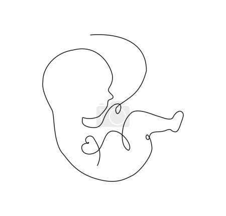 Baby in womb single  continuous line art. Medicine health care pregnancy healthy concept design. Hand drawn minimalism style.