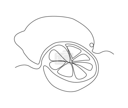 Ilustración de Continuous one line drawing of lemon fruit with leaf. Citrusi fruit hand drawn single line art vector illustration. - Imagen libre de derechos
