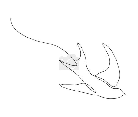 Ilustración de Dibujo continuo de una línea de ave golondrina voladora. Simple granero tragar esquema vector ilustración. - Imagen libre de derechos