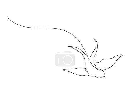 Ilustración de Dibujo continuo de una línea de ave golondrina voladora. Simple granero tragar esquema vector ilustración. - Imagen libre de derechos