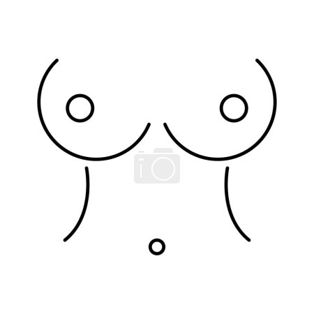 Téléchargez les illustrations : Icône poitrine féminine isolée sur fond blanc, illustration vectorielle. - en licence libre de droit