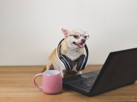 Téléchargez les photos : Portrait de chihuahua brun cheveux courts chien portant des lunettes et des écouteurs autour du cou assis sur le sol en bois avec ordinateur portable et tasse à café rose, travailler et regarder l'écran d'ordinateur. - en image libre de droit