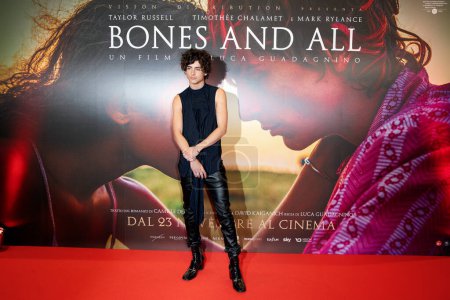 Téléchargez les photos : MILAN, ITALIE - 12 NOVEMBRE : L'acteur Timothee Chalamet assiste à l'appel photo pour "Bones And All" le 12 novembre 2022 à Milan, Italie. - en image libre de droit
