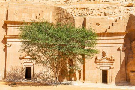 Foto de Tumbas de nabatea talladas en piedra con árbol en el medio, Jabal al banat, Hegra, Al Ula, Arabia Saudita - Imagen libre de derechos